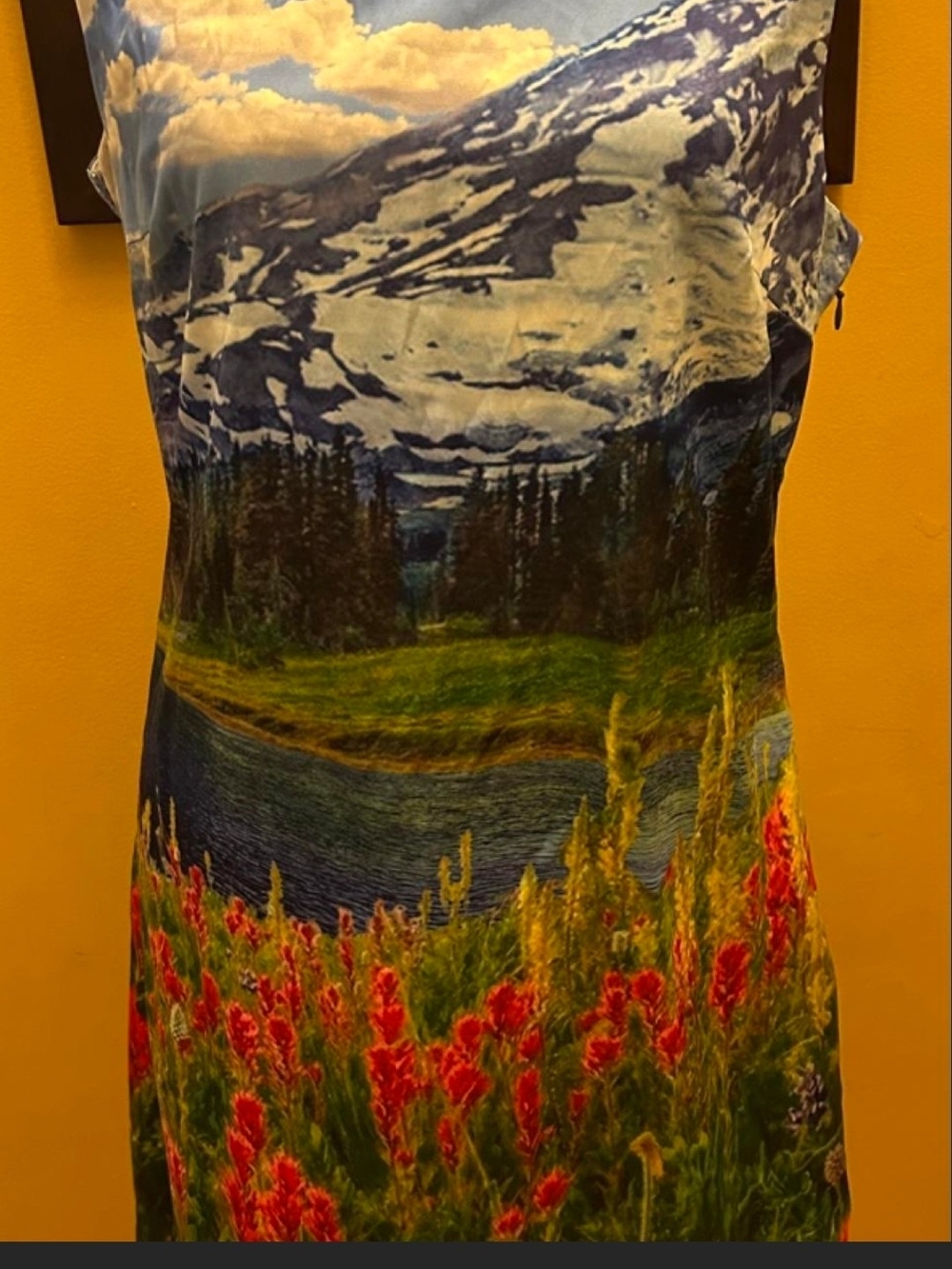 dELiA*s Scenic Mountain & Floral Midi Dress - Blue/Green/Red
